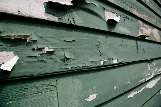 Best Shed Removal  in North Scituate, MA